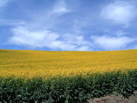 I never knew legumes could be beautiful...