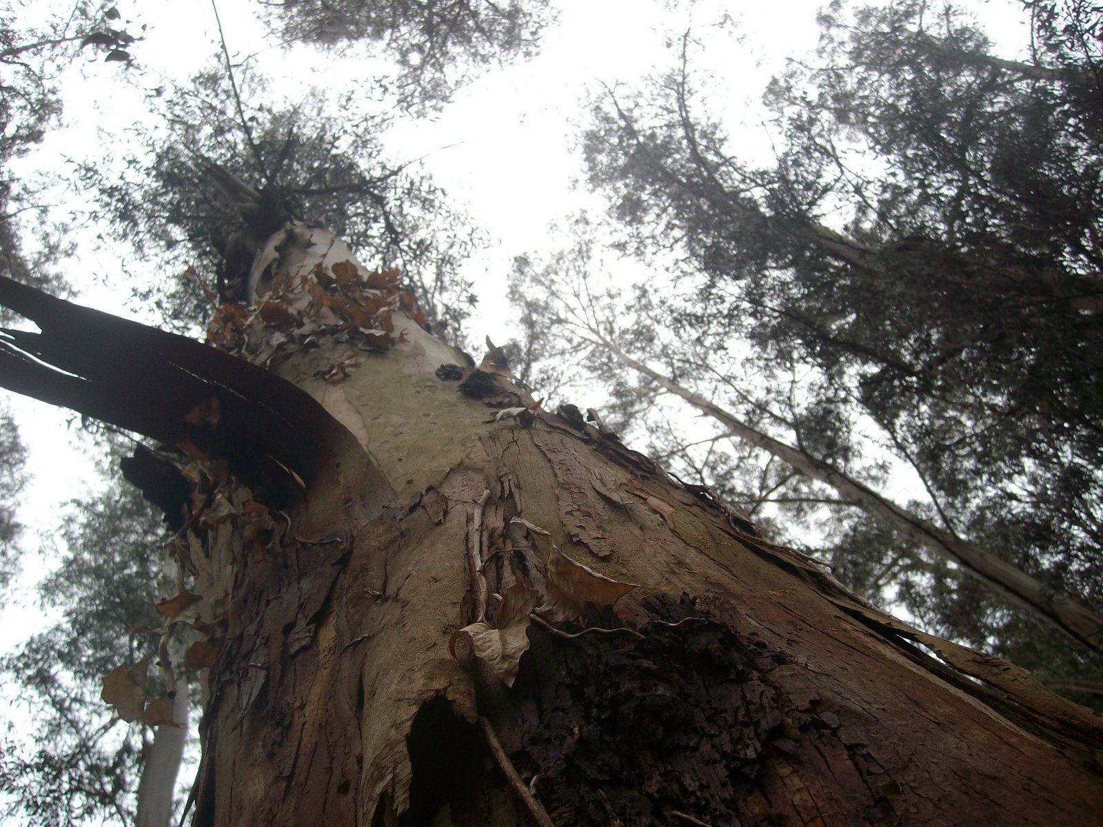 [SANY0305.JPG]
