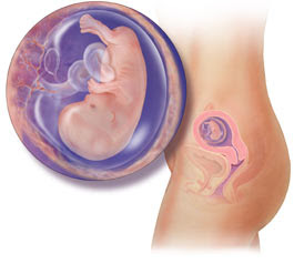 11 weeks and the Baby name