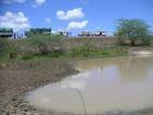 CLICK for more puddles from Kanya