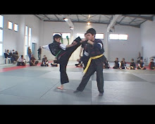 Choy Li Fut - Sparing