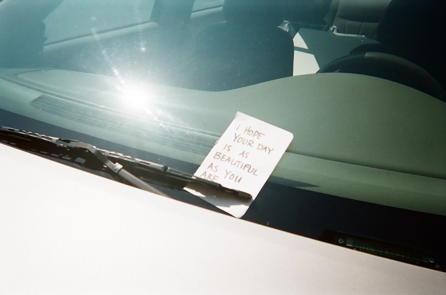 Throw Away Cameras 2 & 3