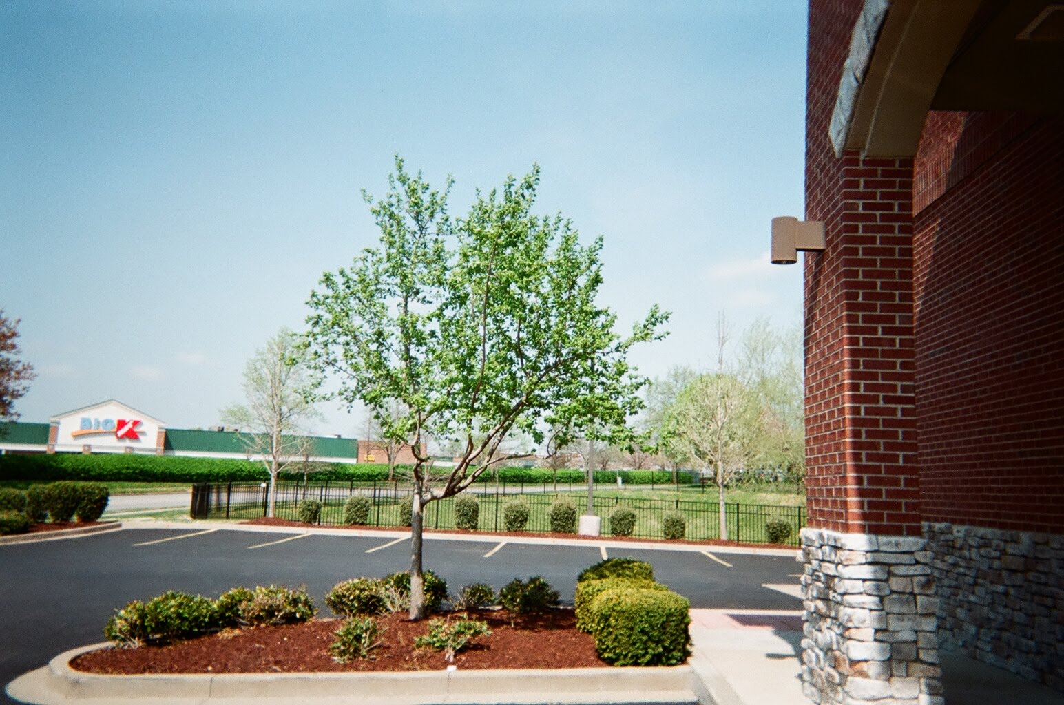 Throw Away Cameras 2 & 3