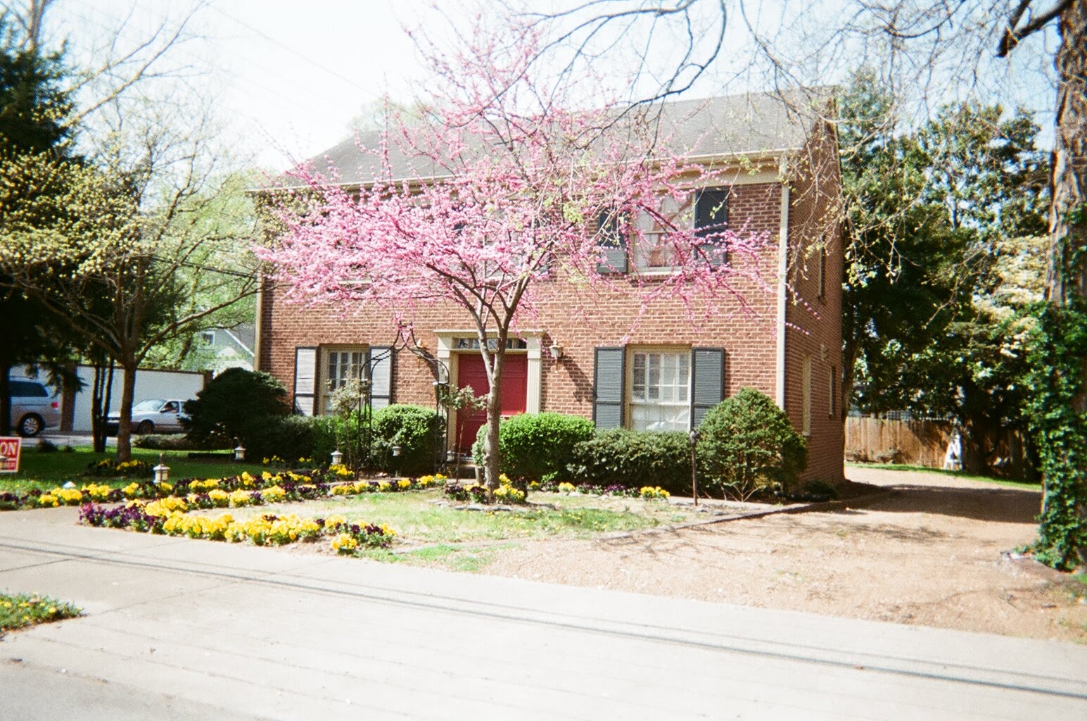 Throw Away Cameras 2 & 3