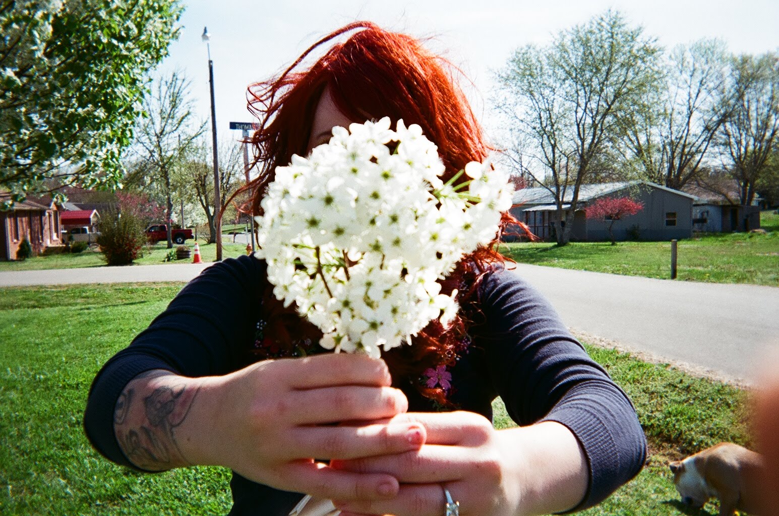 Throw Away Cameras 2 & 3