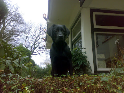 Joe Batt S Arm November 2007