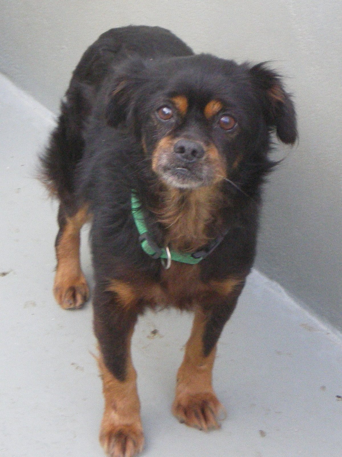 [viejete+espera.JPG]