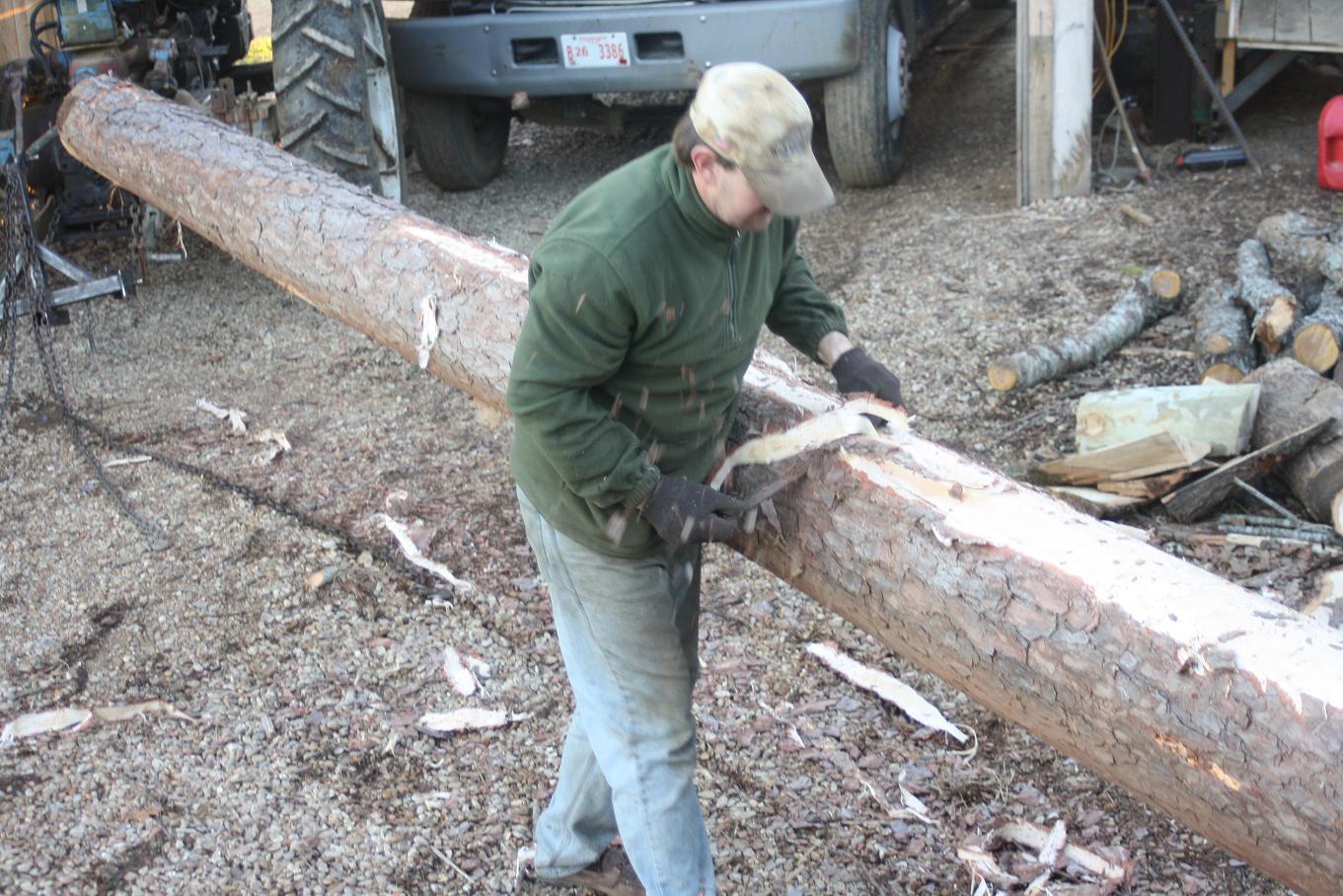 SUZY'S CABIN Bark Removal