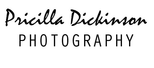 Pricilla's Photo Blog