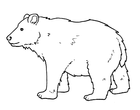 Disegno Di Un Orso Da Colorare