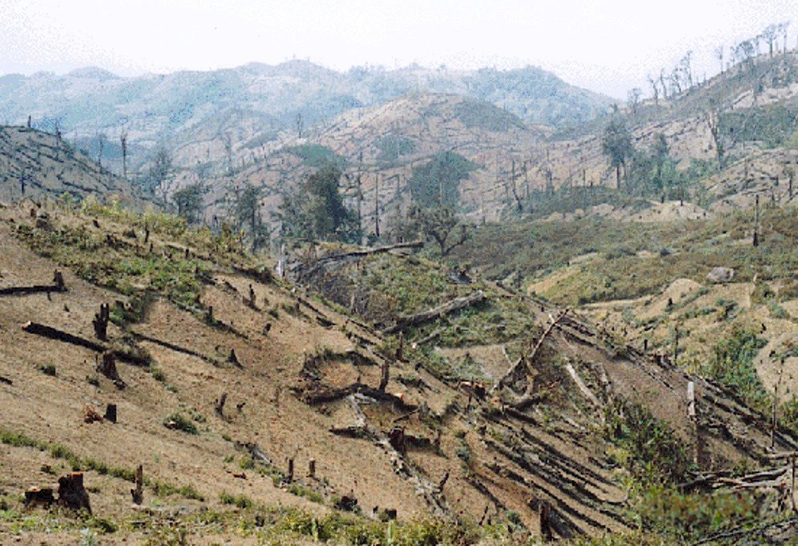 deforestation in third world countries Costa rica can count itself among the world's most effective tropical forest in reducing tropical deforestation in 17 countries in central america and cut its global warming emissions by one third, some 750 million tons of. deforestation in third world countries Costa rica can count itself among the world's most effective tropical forest in reducing tropical deforestation in 17 countries in central america and cut its global warming emissions by one third, some 750 million tons of.