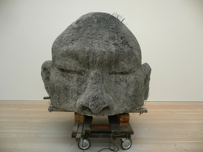 huang crow wing state park he valley river