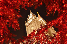Salt Lake with Christmas Lights
