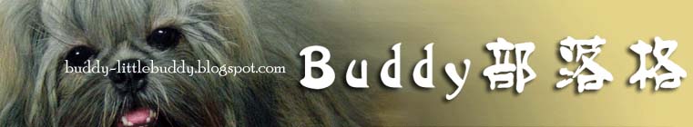 Buddy 部落格