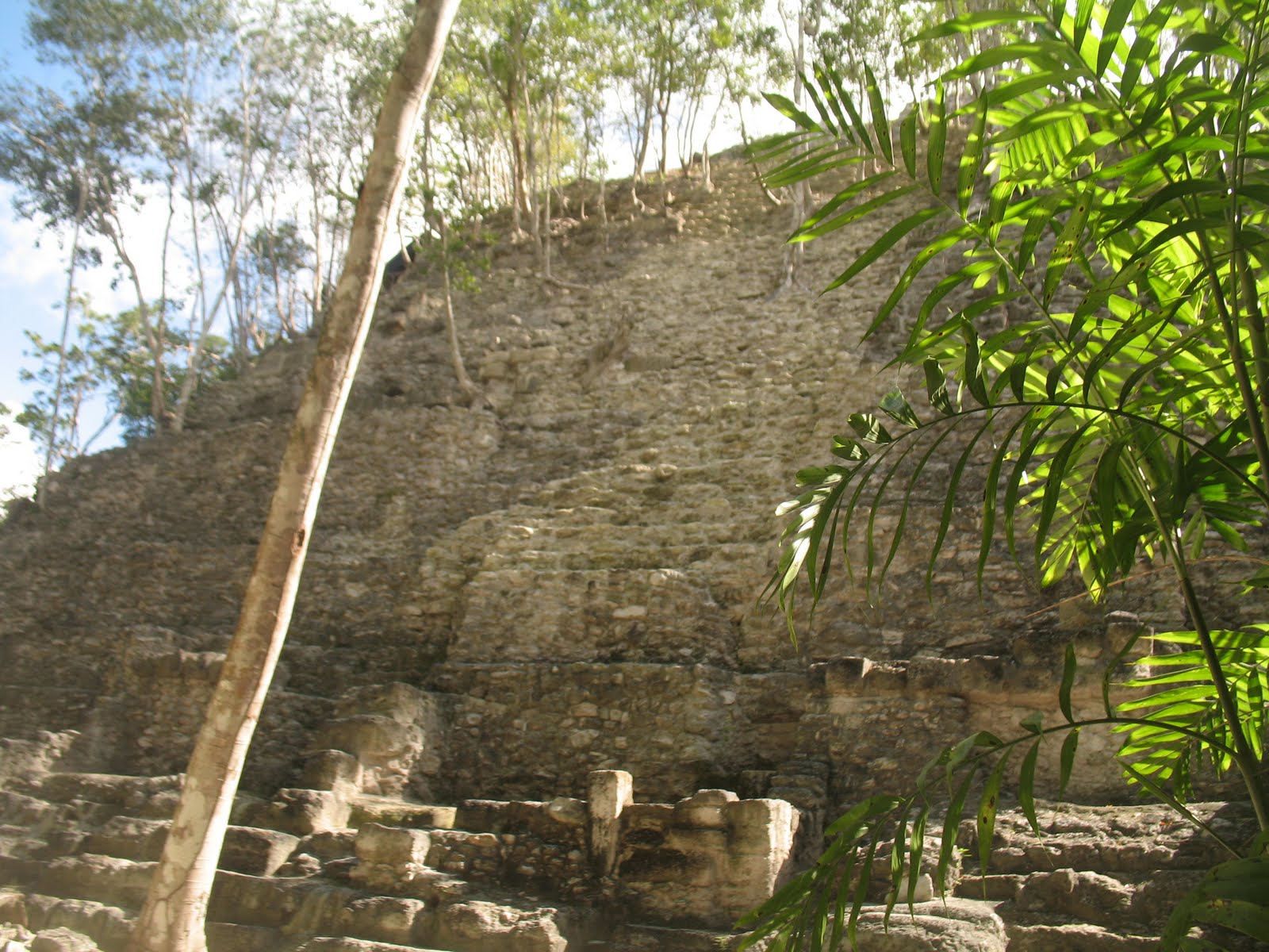 [IMG_0506[1]]