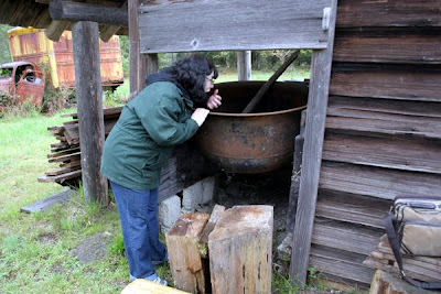 We went on a hike through a historic farm and found this big bowl.