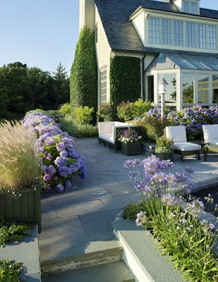 Botanic Bleu Tips To Get Hydrangeas To Bloom