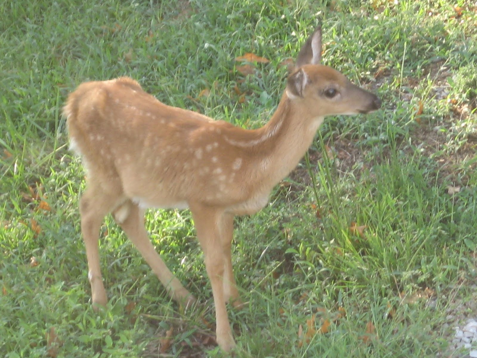 [Dock+Photos+07+010.JPG]