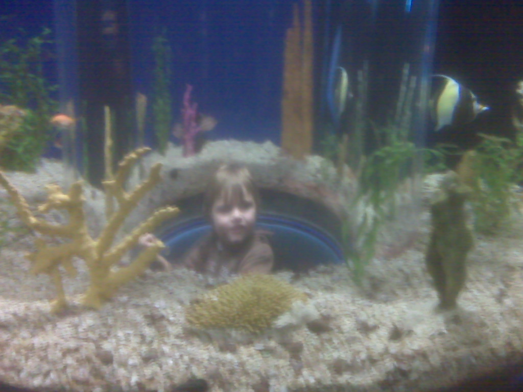 [ackBerrypicturesIMG00135.jpg]