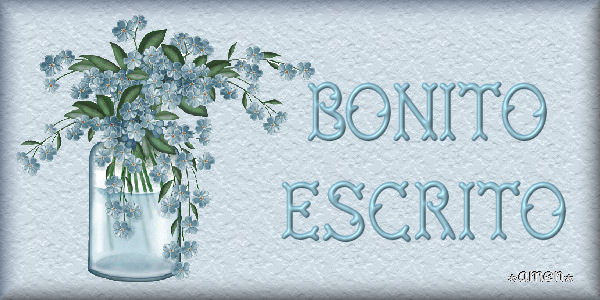 [EXTRAS5.BONITO+ESCRITO.jpg]