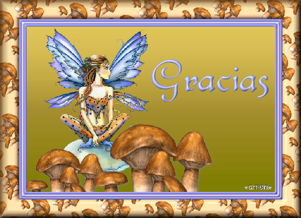 [EXTRAS9.GRACIAS.jpg]