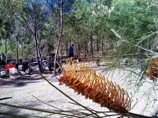 [Pic_camp+site+at+Butterfly+Springs.jpg]