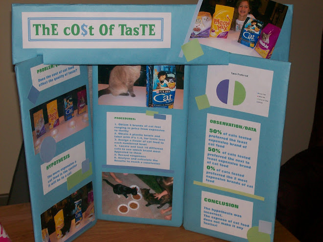 Science fair