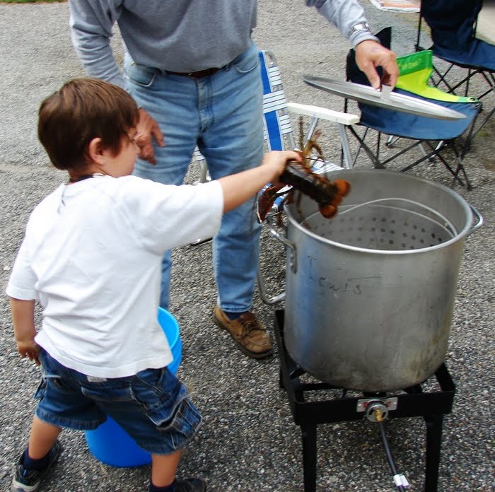 [tn_matiasputslobsterin.JPG]