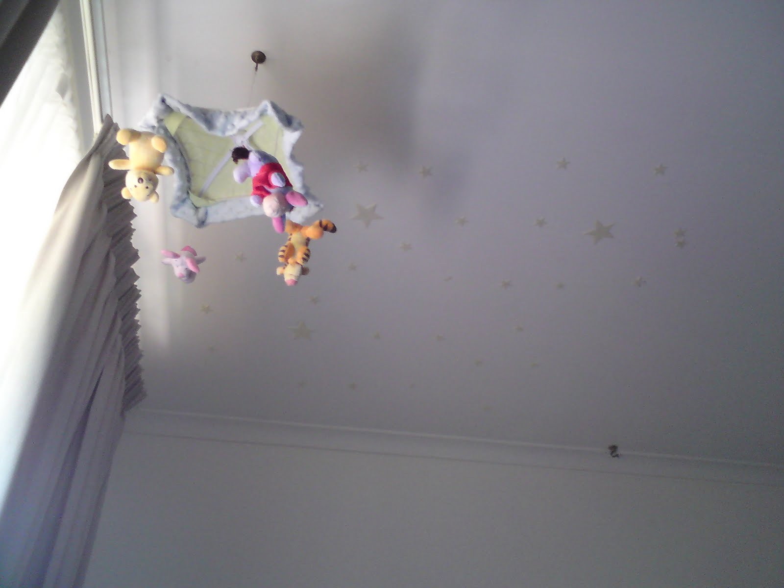[DSC00143.JPG]