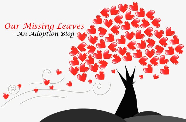 Our Missing Leaves