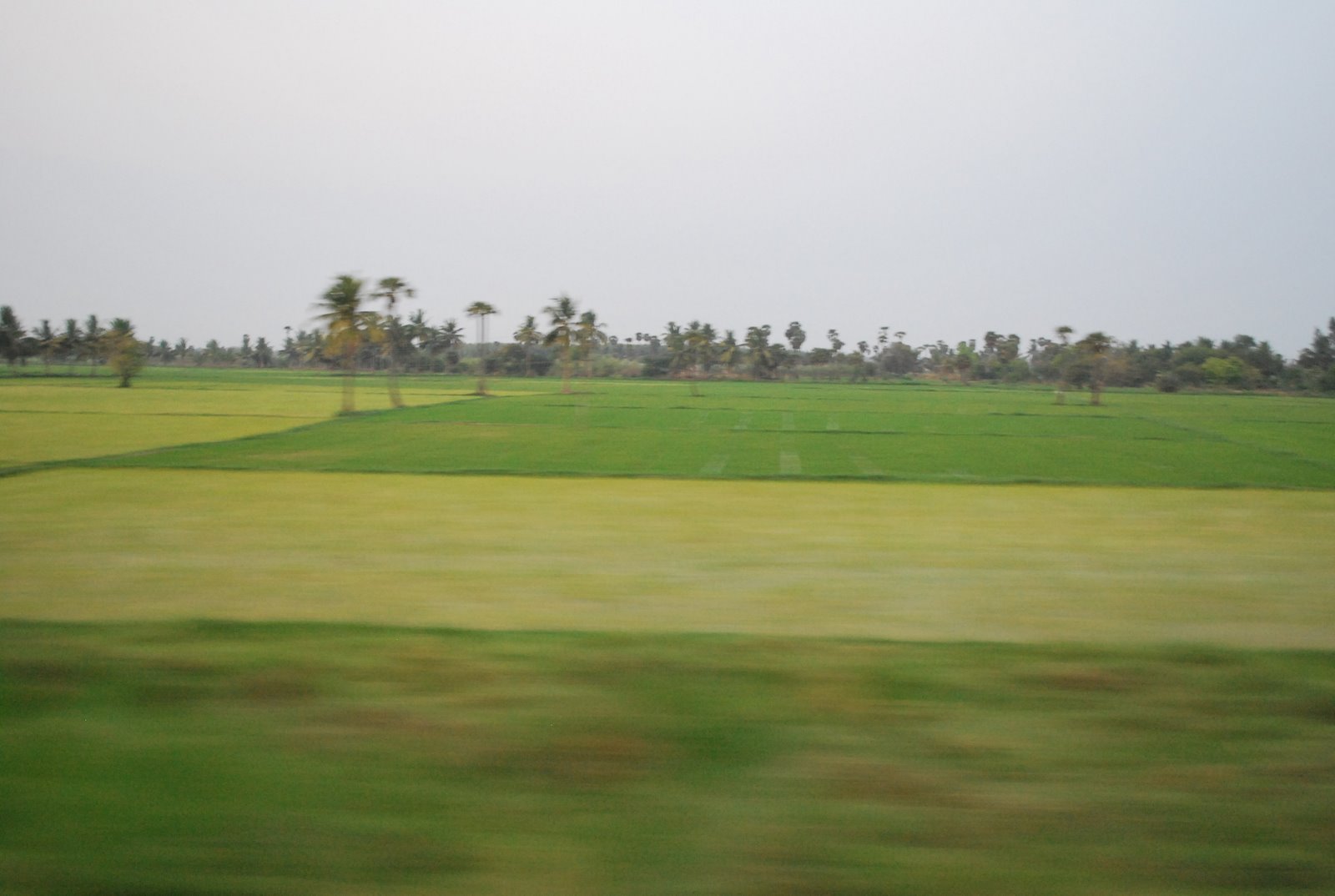 [DSC_0571.JPG]