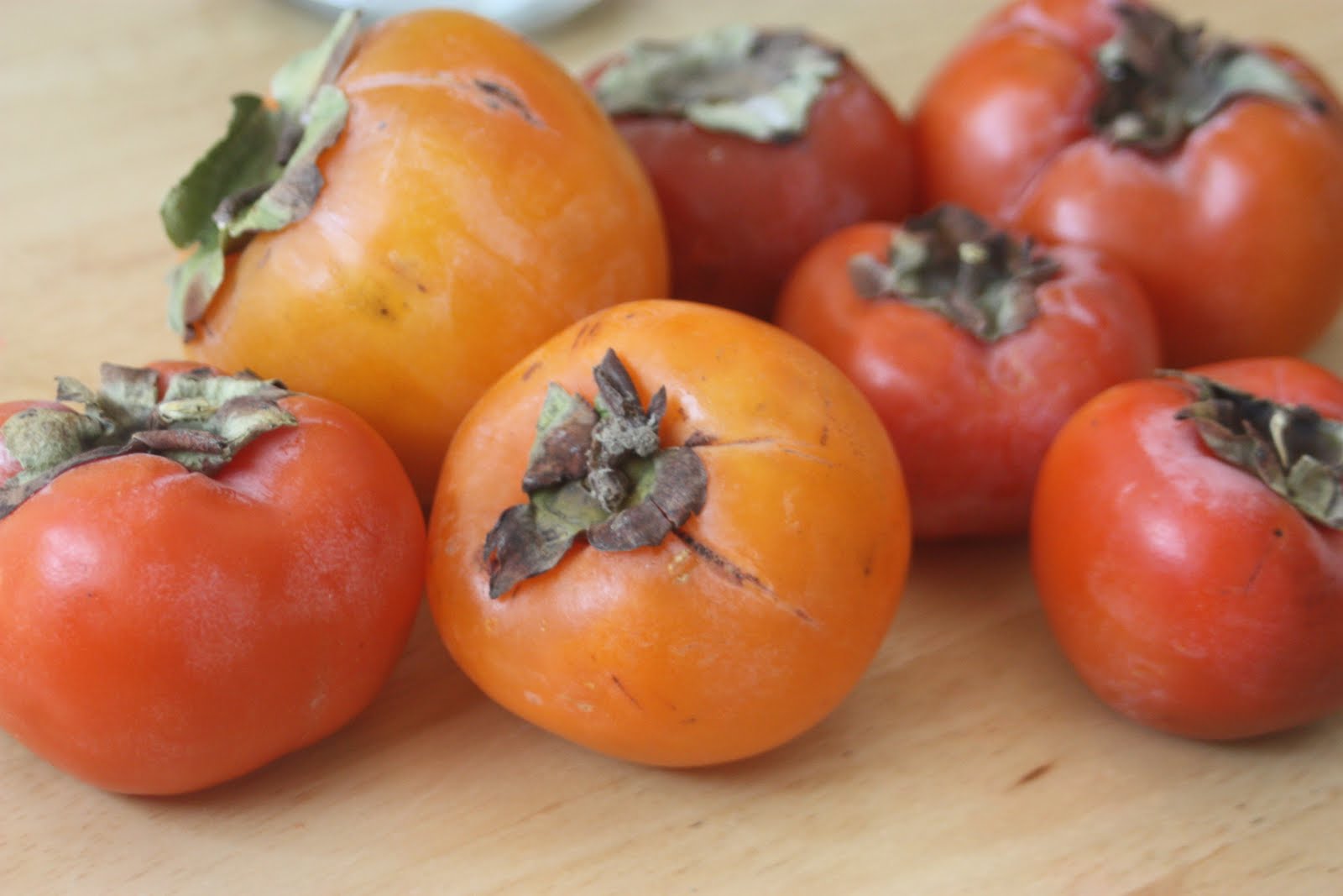 types of persimmons