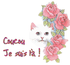 Afficher l'image d'origine