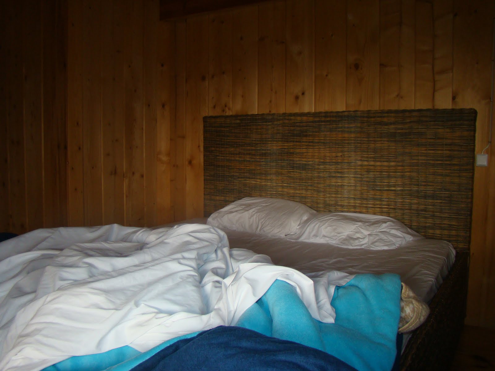 [DSC05149.JPG]