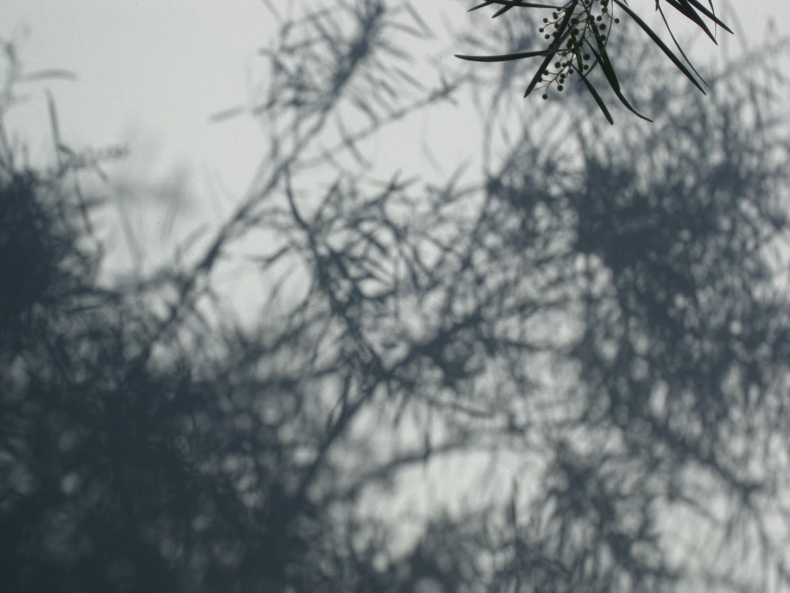 [IMG_1474.JPG]