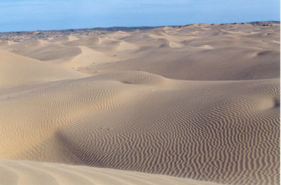 [Uzbekistan_Desert.jpg]