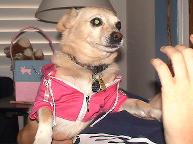 [DSC02101.JPG]