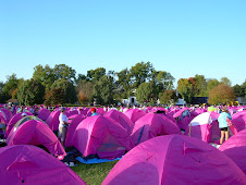 sea of pink tents