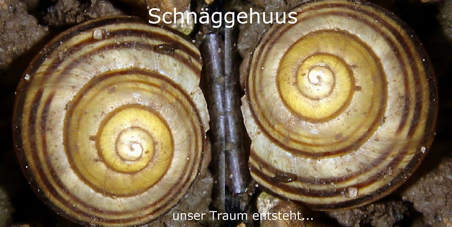 Schnäggehuus