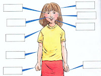 Body Diagram Blank Body Diagram Blank
