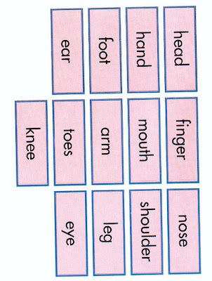 circulatory system diagram for kids. circulatory system diagram for