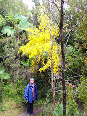 Parque Nacional de Chiloe