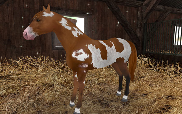 planet horse download free planet horse download free