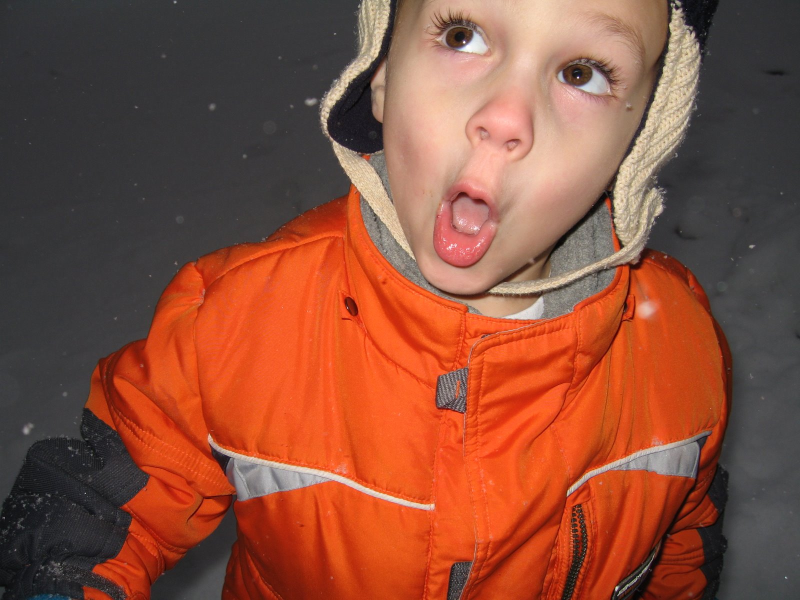 [IMG_4351.JPG]