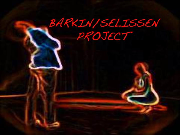 BARKIN/SELISSEN Project