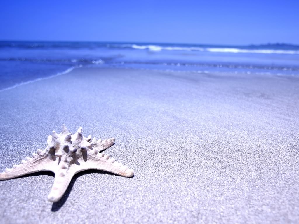 http://2.bp.blogspot.com/_AvY8Tu-tqdk/S-jVNeFmPiI/AAAAAAAAAAM/zdlM8l8vZfQ/s1600/starfish.jpg