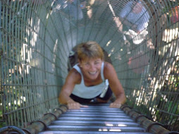 Climbing Above the canopy