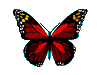 [BORBOLETA+VERMELHA.gif]