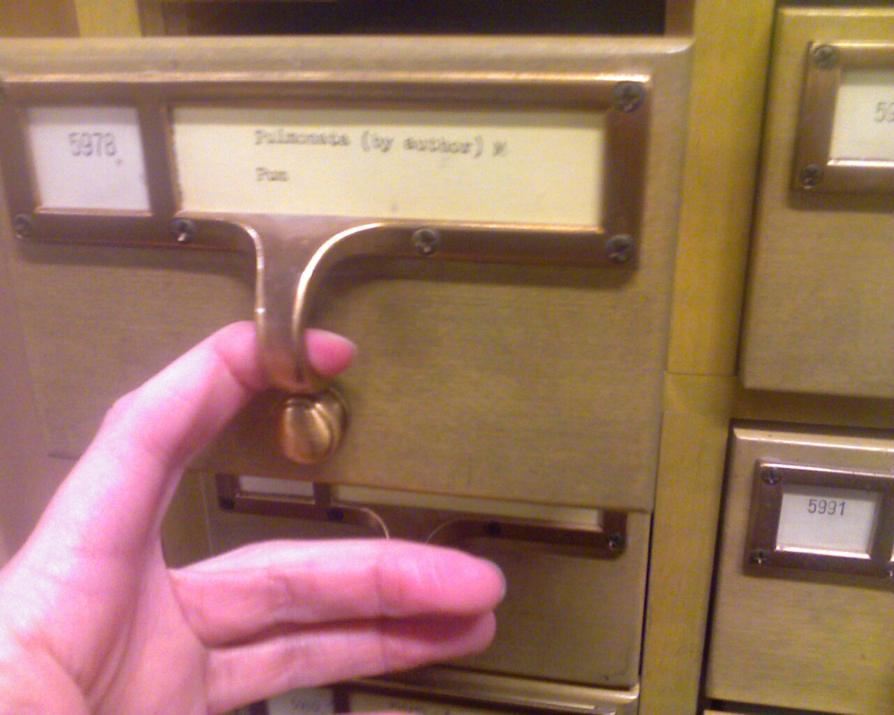 Electronic Card Catalog