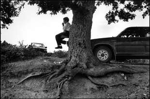 [nikos+Economopoulos.jpg]